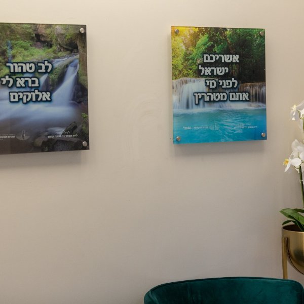gallery picture